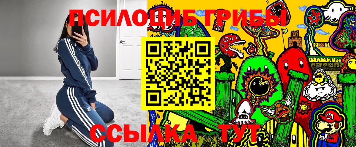 Ульяновск  Галлюциногенные грибы прущие грибы  Вход с VPN  как найти   Псилоцибиновые грибы GOLDEN TEACHER 